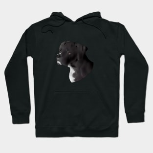 Bruno Smooth Hoodie